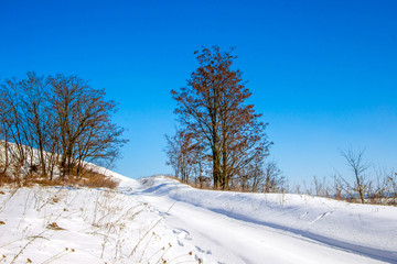 Winter road in the snow-covered plain, trees on both sides of the road_