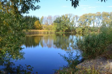Kleiner Angelteich in Herbstlandschaft