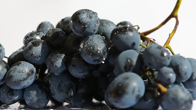 Camera spin around wet grape close up