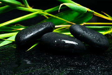 black massage stones and plants
