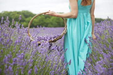 Woman with basket standing in lavender field © Cavan for Adobe