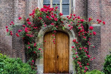 Tor mit Rosen