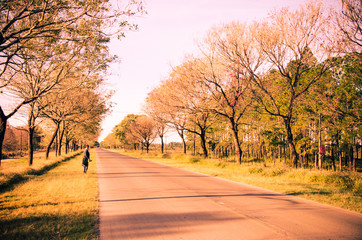 Naklejka premium Woman walking on the autumn road