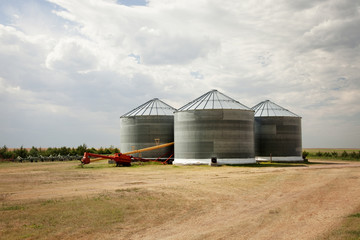 Grain silo on field © Cavan for Adobe