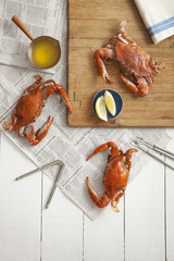 Overhead view of red crabs on table © Cavan for Adobe