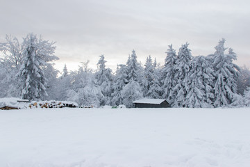 Schneelandschaft