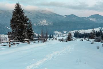 Daybreak winter Carpathian mountain village Zelene, Verkhovyna, Ukraine