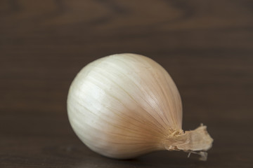 onion on brown background