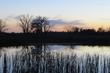 Sunsetting on the Pond