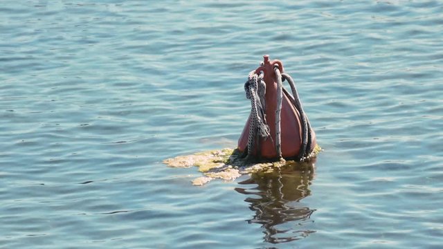 Slow motion clip of a boa moved by the sea, near the Croatian city of Pakostane.
