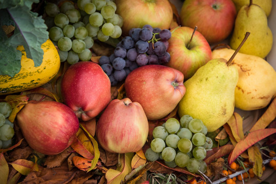 Heap of fresh, colorful autumn fruits - apple, pear, grape