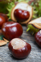 Ripe chestnuts on the wooden table. Autumn decorations. Autumn concept.