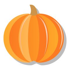 Pumpkin - Squash for Halloween or Thanksgiving
