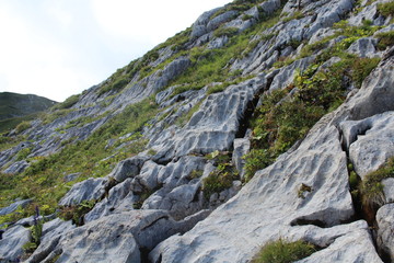 Rillenkarren am Felsen