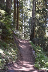 Fototapeta premium Path to Bridal Falls