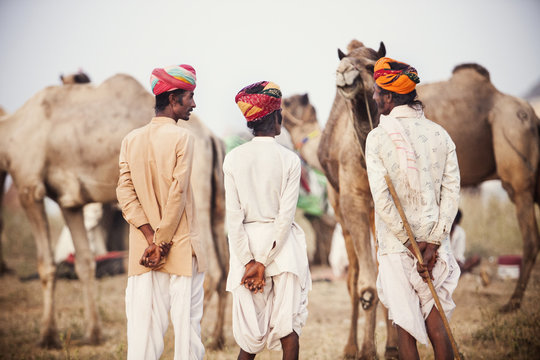 Men with camels at Pushkar Fair, India