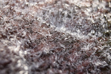 Frost