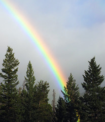 Rainbow in the Rockies