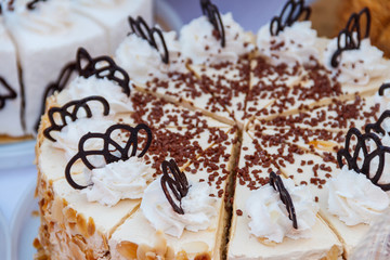 Tasty homemade cake close-up