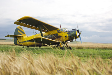 Biplane on field © Cavan for Adobe