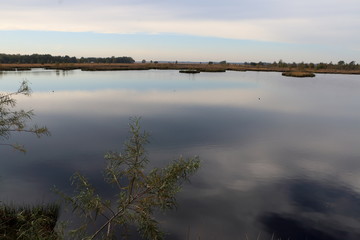 beautiful peat lake in the Netherlands nearby Dwingeloo state Drenthe