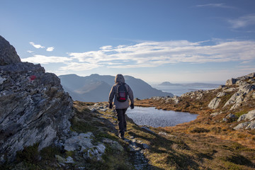 Fototapeta premium Woman on autumn hike on the Skomo mountain in Bronnoy municipality Northern Norway 
