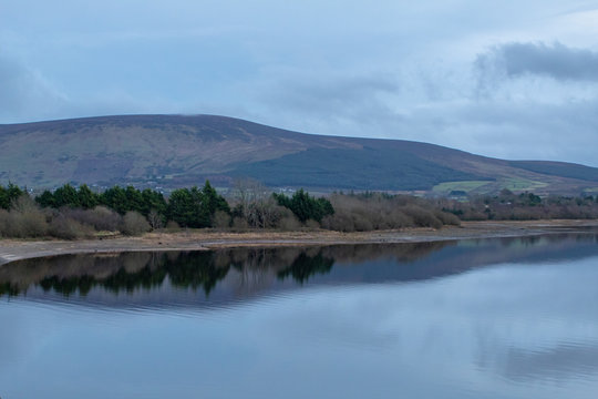 Cool Winter's Day at Blessington Lakes, County Wicklow