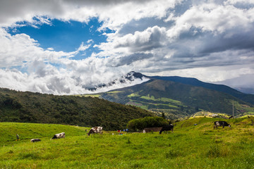 Andean landscape