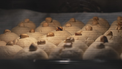 Cookies baking in the oven