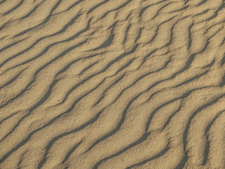 texture of sand waves on the beach or in the desert. the ripples of the sand is diagonal.