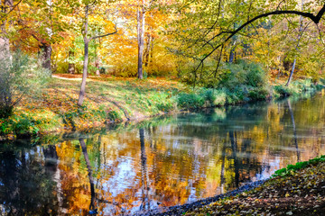 Beautiful autumn sunny landscape in Pavlovsk park with the Slavyanka river and trees with red and orange leaves, Pavlovsk.