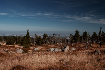 Mountain view landscape with rocks and pine tree on a bright blue sky late summer day. Brocken,...