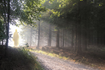 Jesus Christ walking after His resurrection. Figure in sun lights. Sunning shine in forest.