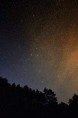 Fototapeta na wymiar Starry sky in the forest