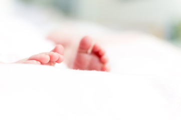 feet and fingers of a newborn baby, with white background out of focus.