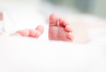 feet and fingers of a newborn baby, with white background out of focus.