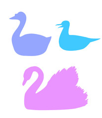 Collection of vector colored waterfowl