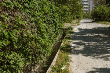 Contaminated water, sewage waste is drained through pipe into sea on an unequipped beach. Pollution...