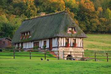 Chaumière dans le marais vernier en automne, Normandie