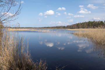 Tranquil lake