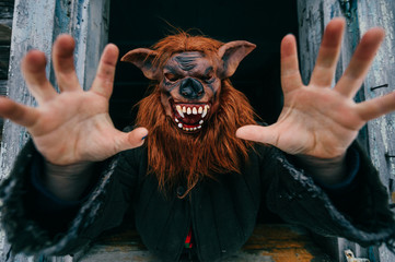 Unknown person with creepy horrible werewolf mask looking out from old wooden ghost house window....