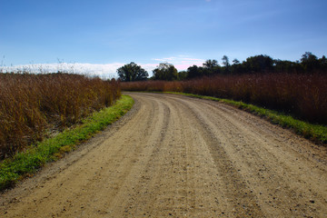 Fototapeta na wymiar Winding Gravel Country Dirt Road in Red Autumn Prairie With Forest Silhouette in Distance