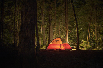 Illuminated tent in forest at night © Cavan for Adobe