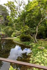Small pond in a Japanese garden