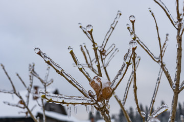 freezing rain