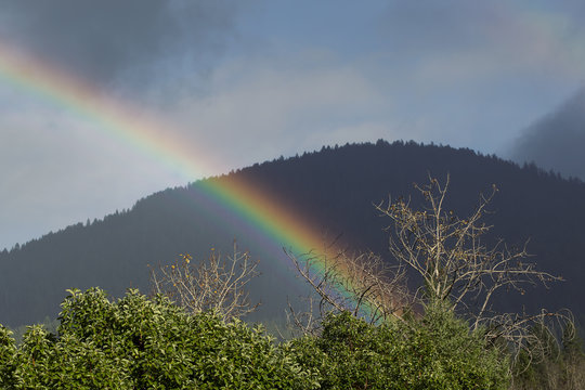 rainbow & rainclouds