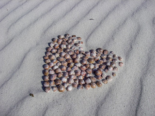 Beach Treasure