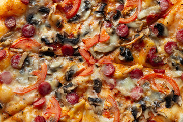 pizza on white background