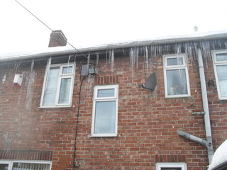 Icicles on the Roof 1