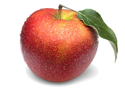 Red aple on white background.